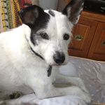 Mary Ellen Futrell - @catmom128 - Instagram