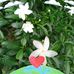 Mary Gain - Facebook