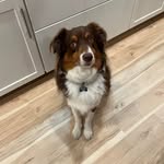 Mary G. Allen - @mary.g.allen - Instagram