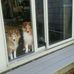 Mary Gallivan - Facebook