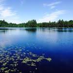 Mary Gallow - @fishfrys - Instagram
