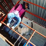 Mary Garay 🐴🧿📿🐂 - @mgaray_p - Instagram
