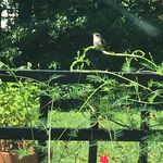 Mary W. Garretson - @alidog1 - Instagram