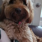 Mary  Gaughan - @mary_gaughan - Instagram