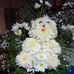 Mary Gauna - Facebook