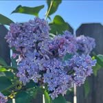 Mary Capik Geiser - @mgzer - Instagram