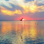 Mary Geisert - @marygeisert - Instagram