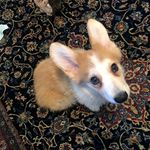 Mary Gendron - @marygend - Instagram