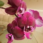 Mary Gerling - @marycgerling - Instagram