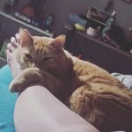 Mary Gero - @iammarty1 - Instagram