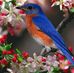Mary Gero - Facebook