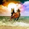 Mary Gian - @mary.gian2 - TikTok