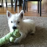 Mary Gilboy - @huskergrammy - Instagram
