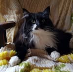 Mary Gille - Facebook
