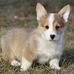 Mary Ellen Ginder - Facebook