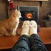 Mary Gingras Wallace - @mary.gingras.wall - TikTok