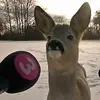 mary🦔🦔🦔 - @mary.gipe1 - TikTok