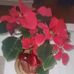 Mary Glanton - Facebook