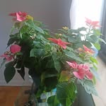 Mary Glanton - @maryglanton - Instagram