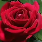 Mary Glen - Facebook