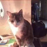 Mary Glines Keeney - @glineskeeney - Instagram
