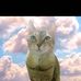 Mary GO - Facebook