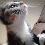 Mary Alexis Goering - @maryalexis6337 - Instagram