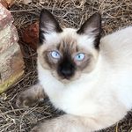 Mary Barbee - @mary__goering - Instagram