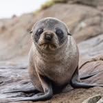 Mary goggin - @sealpup218 - Instagram