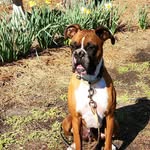 Mary Stuart Goodloe - @marystuartgoodloe - Instagram