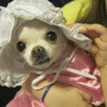 Mary Sprinkle Goodrum - @gammaw47 - Instagram