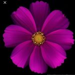Mary Ann L. Gorres - @_ann1216_ - Instagram