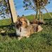 Marion Gottschall - Facebook