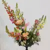 Dreams events - @marygras68 - TikTok