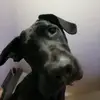 marygratefulgrace - @marygratefulgrace - TikTok