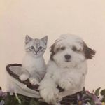 Mary Gravely - @marygravley.7154 - Instagram