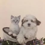 Mary Gravely - @marygravley.7154 - Instagram