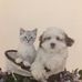 Mary Gravley - Facebook