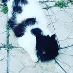 Mary Grebeniuk - @marygrebeniuk - Instagram
