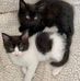 Mary Grech - Facebook