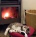 Mary Grech - Facebook