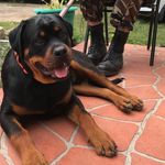 Mary Grech - @mary.grech.75 - Instagram