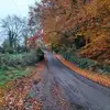 Marie Gribbin - @marie.gribbin6 - TikTok