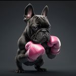 Mary Grilli - @marygrilli - Instagram