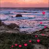 marygullo719 - @marygullo719 - TikTok