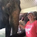 Mary Strabbing-Gump - @strabbinggump - Instagram