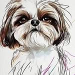 Marty Gunhus - @banjos_mom - Instagram