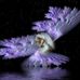 Mary Graham Gunnell - Facebook