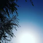 mary - @marygurau99 - Instagram