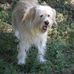 Mary Anne Gurnee - Facebook